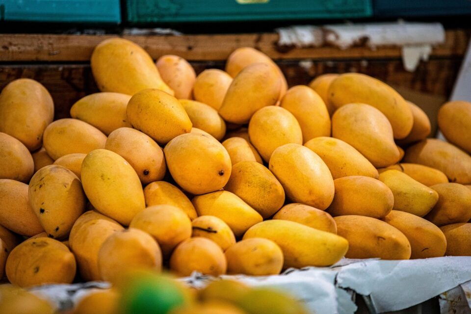 Incredible Health Benefits of Mango