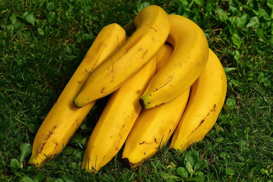 Surprising Health Benefits of Bananas for Your Healthy Lifestyle