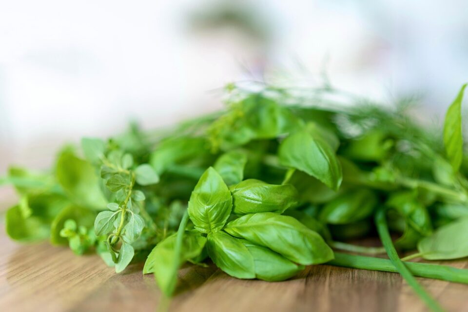 10 Powerful Health Benefits of Basil