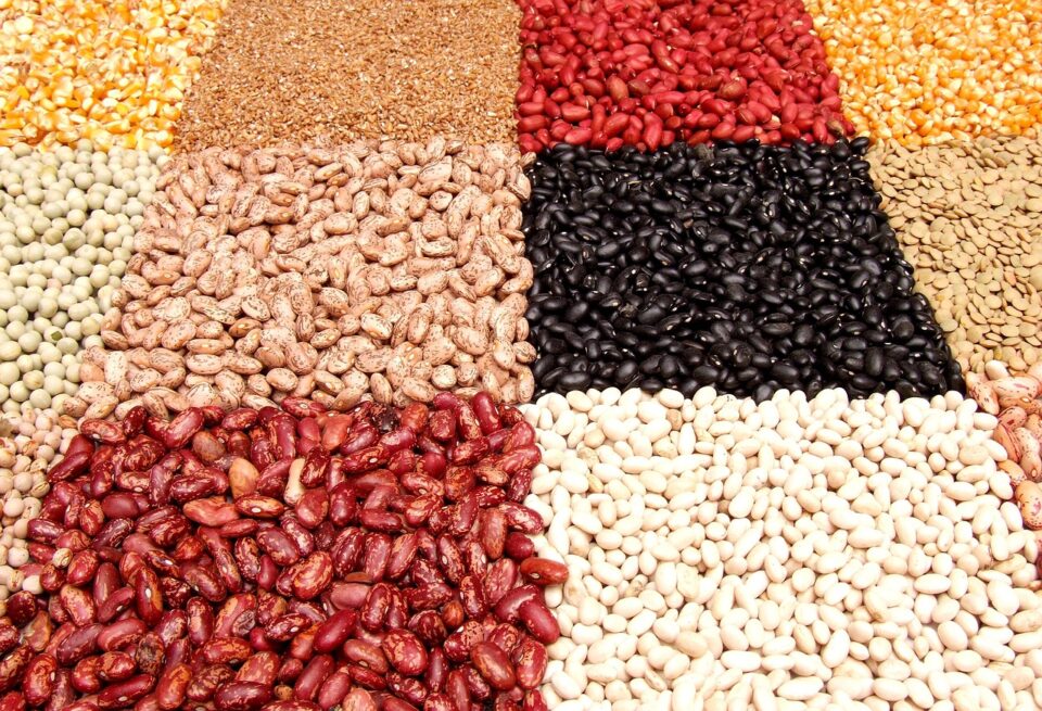 Why Pulses Are a Superfood Amazing Health Benefits Pulses Explained
